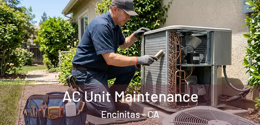  AC Unit Maintenance Encinitas - CA